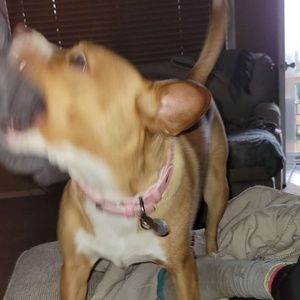 Meet your Posher, Trinity